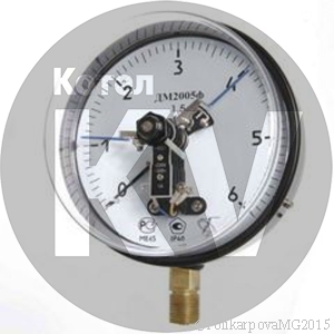 Манометр ДМ2005Сг Манометр ДМ2005Сг