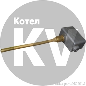 Терморегулятор ТУДЭ 4М Терморегулятор ТУДЭ 4М